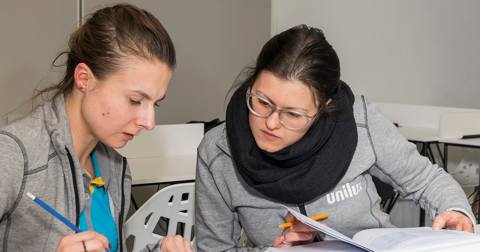 Voor wie zijn de taallessen van Native Dutch - Nederlandse taalles op locatie